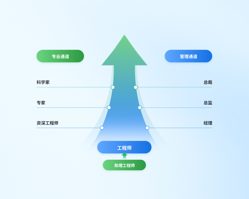 职业发展